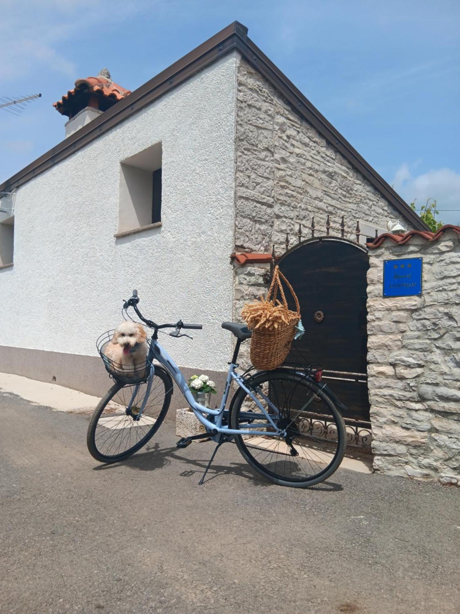 Authentic Istria&Pet Friendly Apartment Banko Near Rovinj Kanfanar Exterior photo