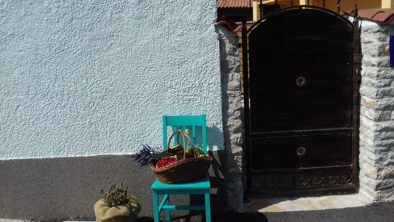 Authentic Istria&Pet Friendly Apartment Banko Near Rovinj Kanfanar Exterior photo