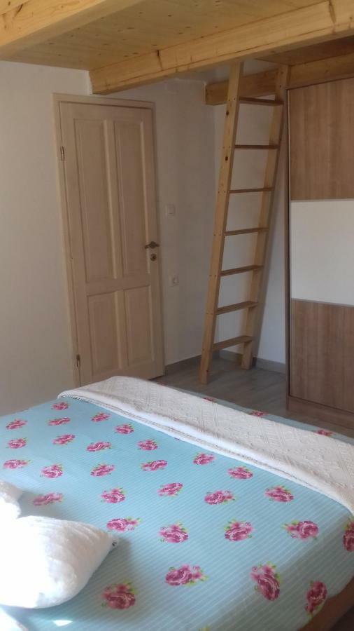 Authentic Istria&Pet Friendly Apartment Banko Near Rovinj Kanfanar Exterior photo